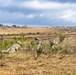 2nd Cavalry Regiment/3rd Squadron Live Fire Exercise