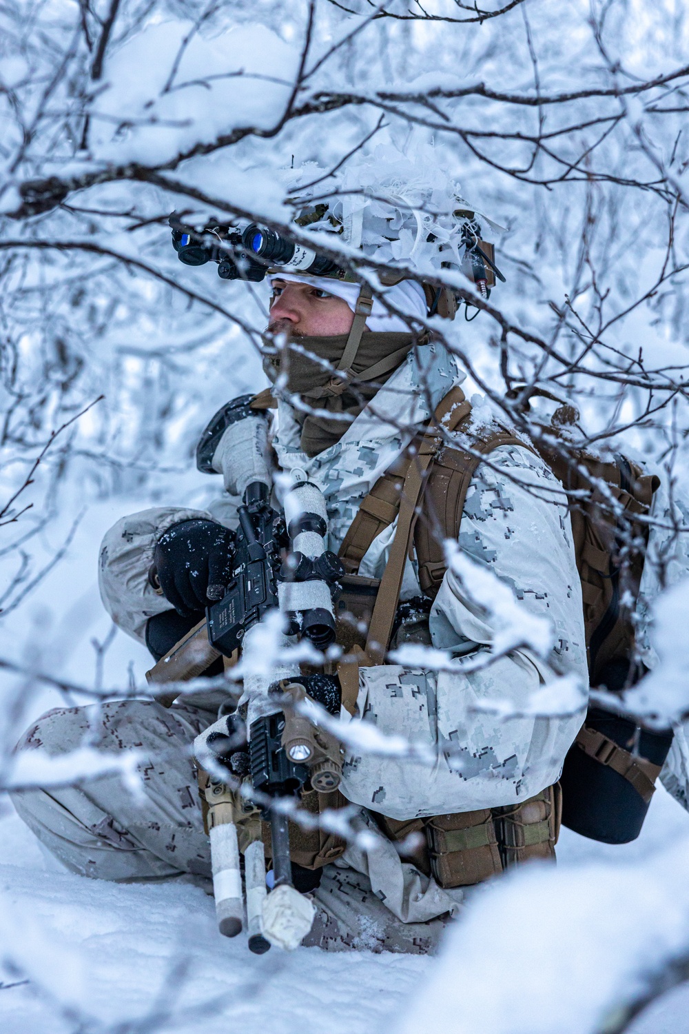 U.S. Marines and NATO Allies Conduct Joint Training in Preparation for Nordic Response 24