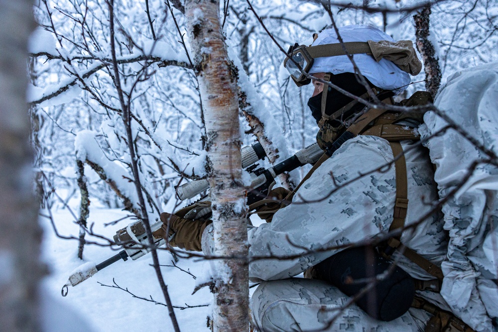 U.S. Marines and NATO Allies Conduct Joint Training in Preparation for Nordic Response 24