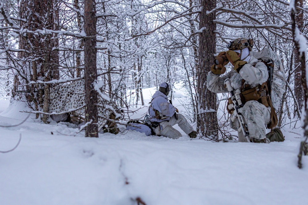 U.S. Marines and NATO Allies Conduct Joint Training in Preparation for Nordic Response 24