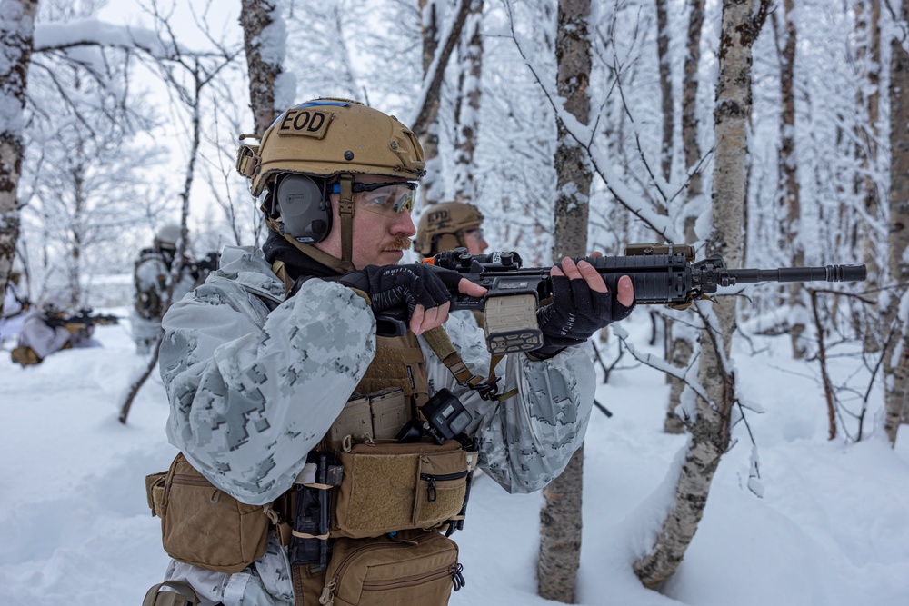 U.S. Marines and NATO Allies Conduct Joint Training in Preparation for Nordic Response 24