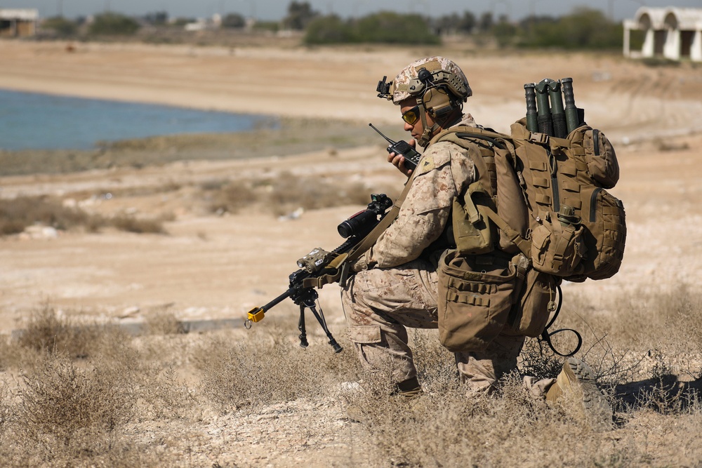 U.S., British, Kuwaiti Forces Team Up for FINEX during Eager Defender 24