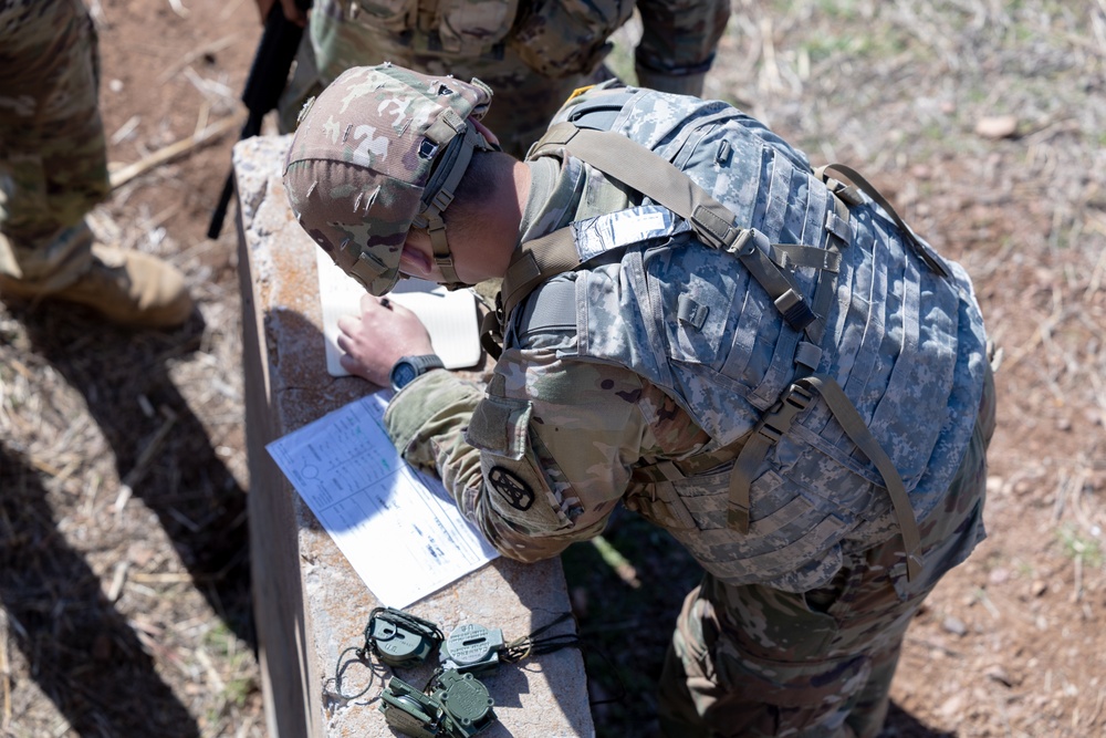 13F UAS/UAV Demonstration