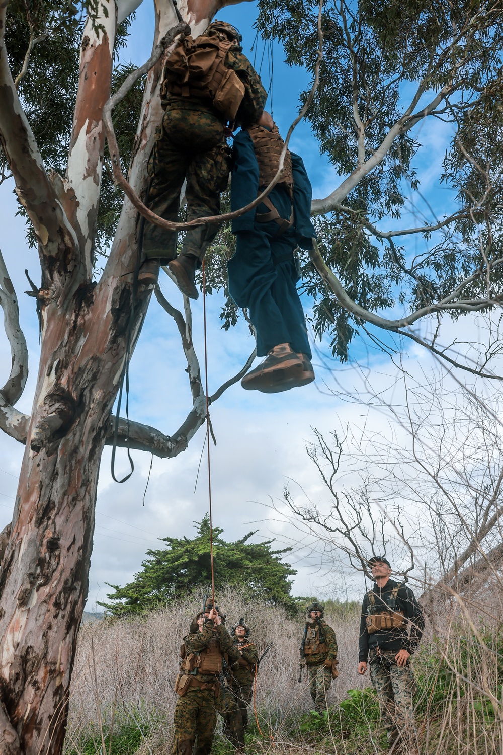 2nd Bn., 5th Marines trains for tactical recovery of aircraft, personnel