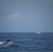 U.S. Coast Guard Cutter Harriet Lane, Fiji shipriders conduct fishery boardings