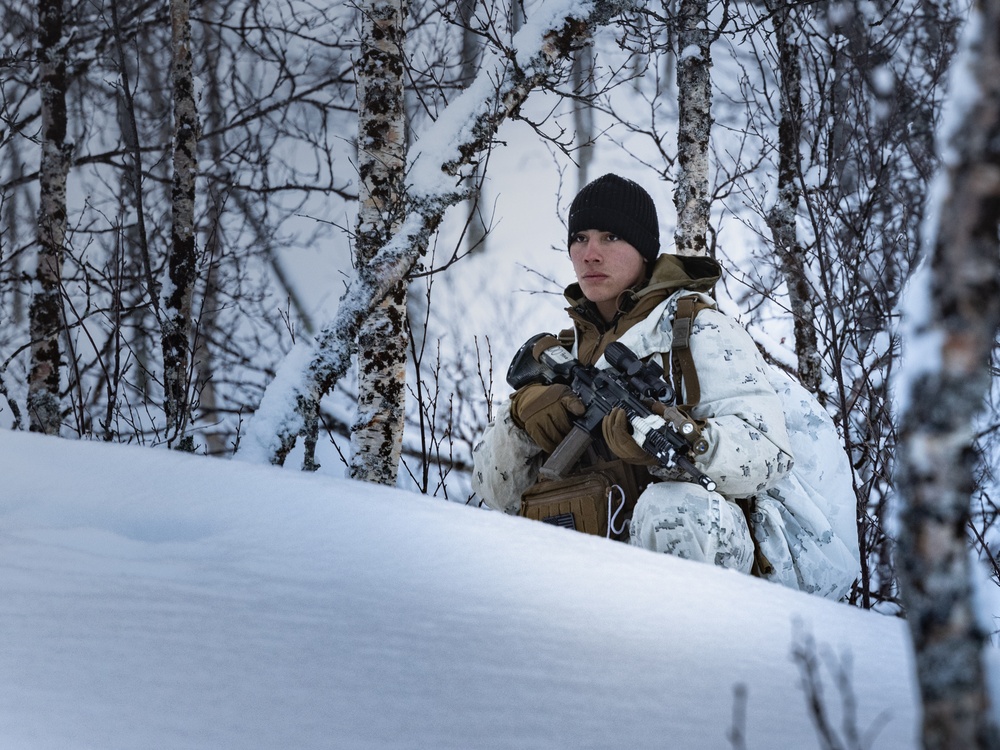 1st Battalion, 2nd Marines in Cold Weather Training during Nordic Response 24 in Norway