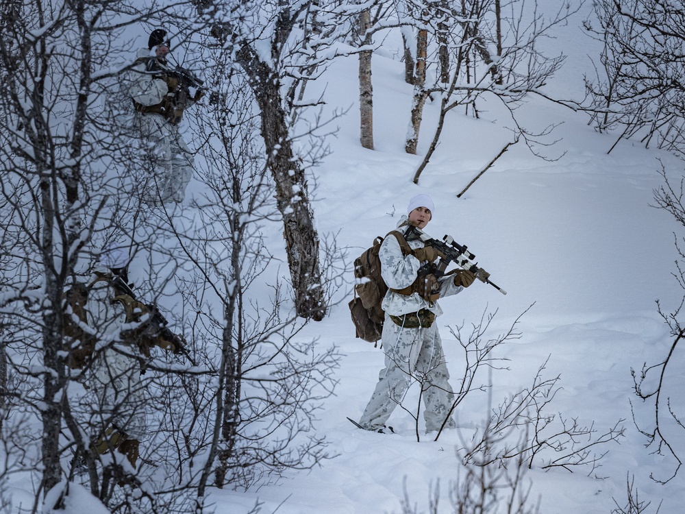 1st Battalion, 2nd Marines in Cold Weather Training during Nordic Response 24 in Norway