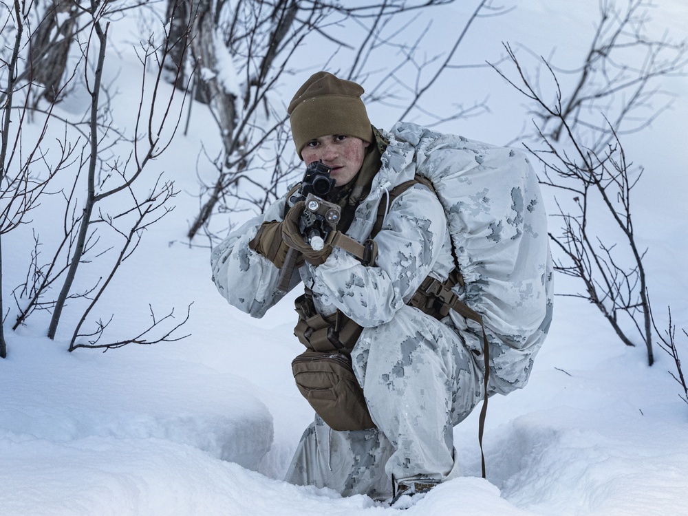 1st Battalion, 2nd Marines in Cold Weather Training during Nordic Response 24 in Norway