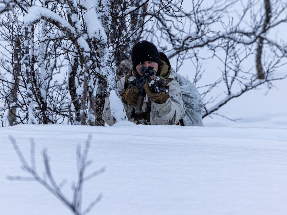 1st Battalion, 2nd Marines in Cold Weather Training during Nordic Response 24 in Norway