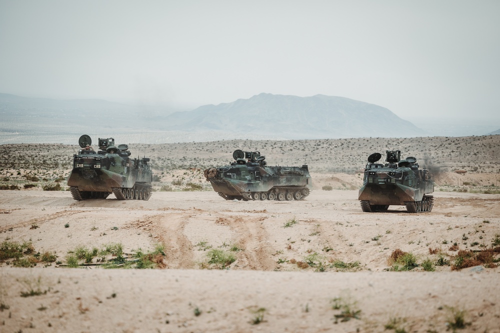 2/6 Marines conduct urban lane training during SLTE 2-24