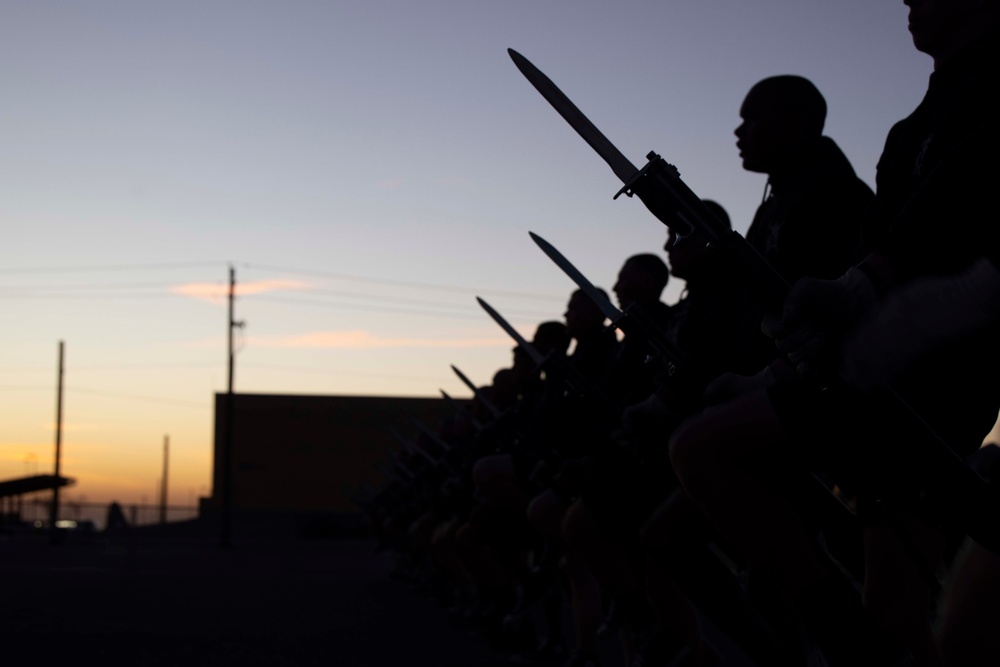 Progression and Purpose: The Silent Drill Platoon