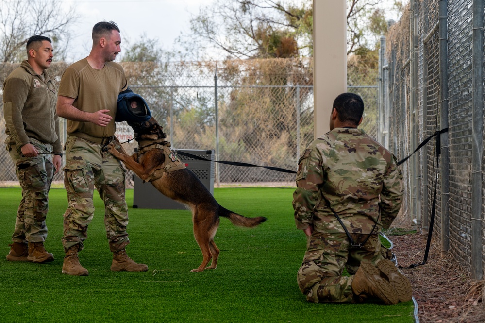 Military Working Dog Handlers Collaborate with the University of Arizona