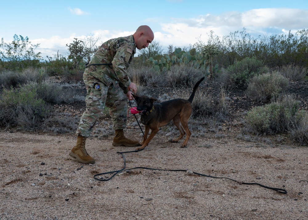 Military Working Dog Handlers Collaborate with the University of Arizona