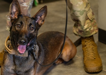 Military Working Dog Handlers Collaborate with the University of Arizona