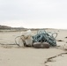 MCI-West Environmental Security Department holds cleanup for Camp Pendleton beaches