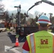 Hale Street Tree Removal