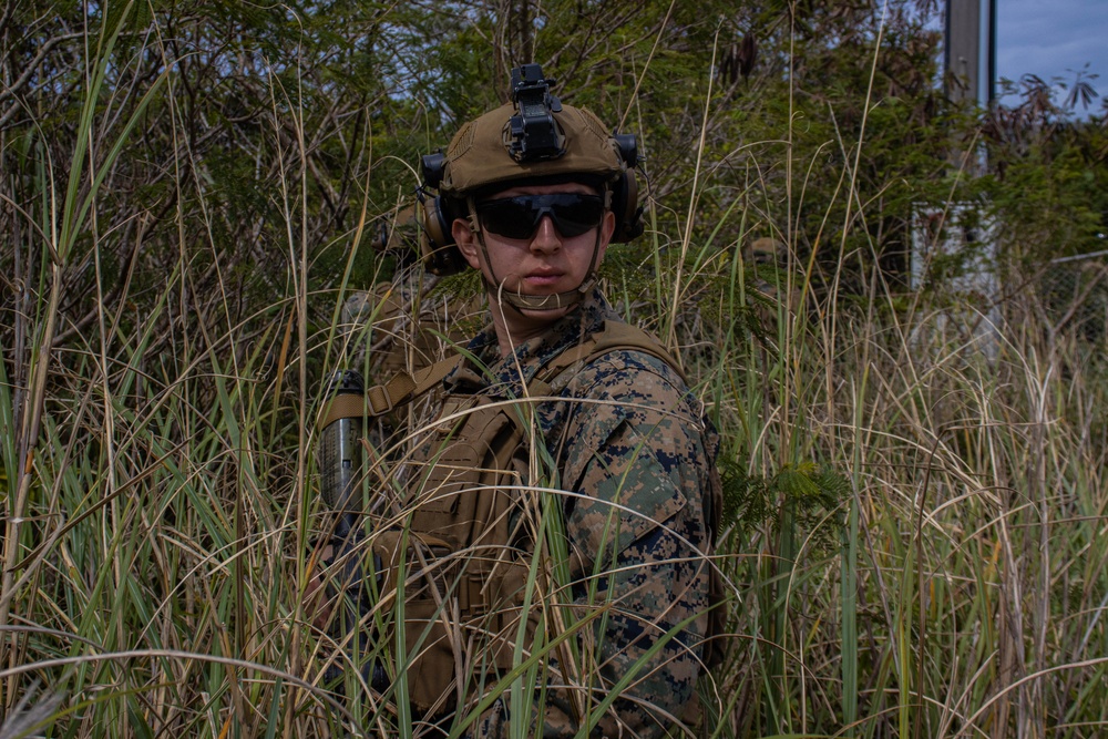 BLT 1/1 Motorized Raid, Reinforcement