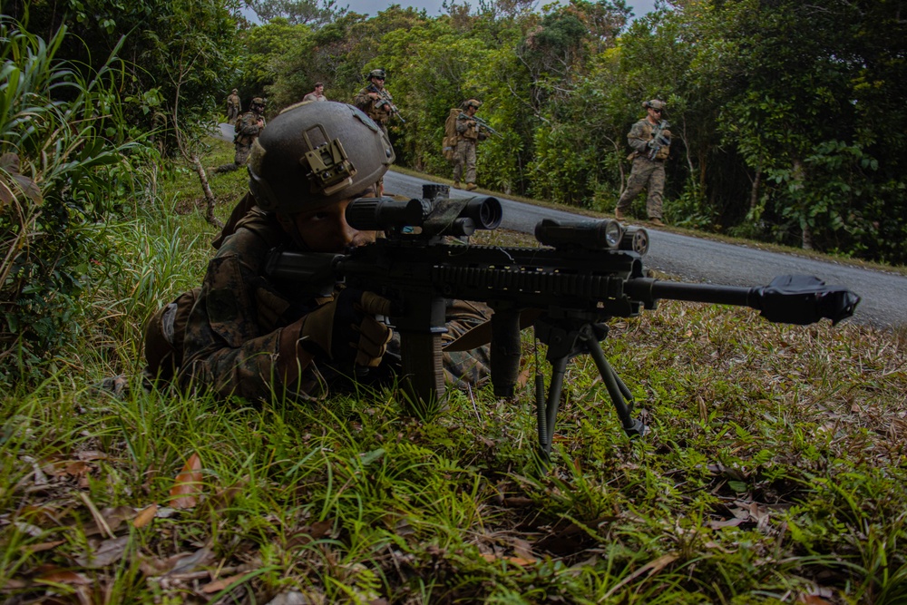 BLT 1/1 Motorized Raid, Reinforcement