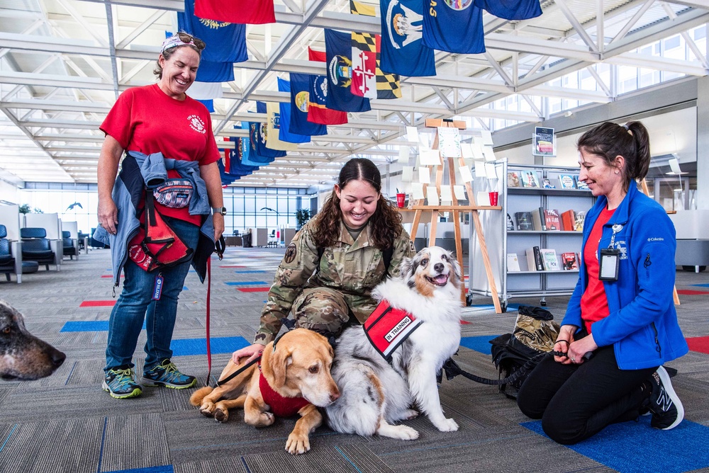 Therapy dogs bring smiles; reduce cadet stress