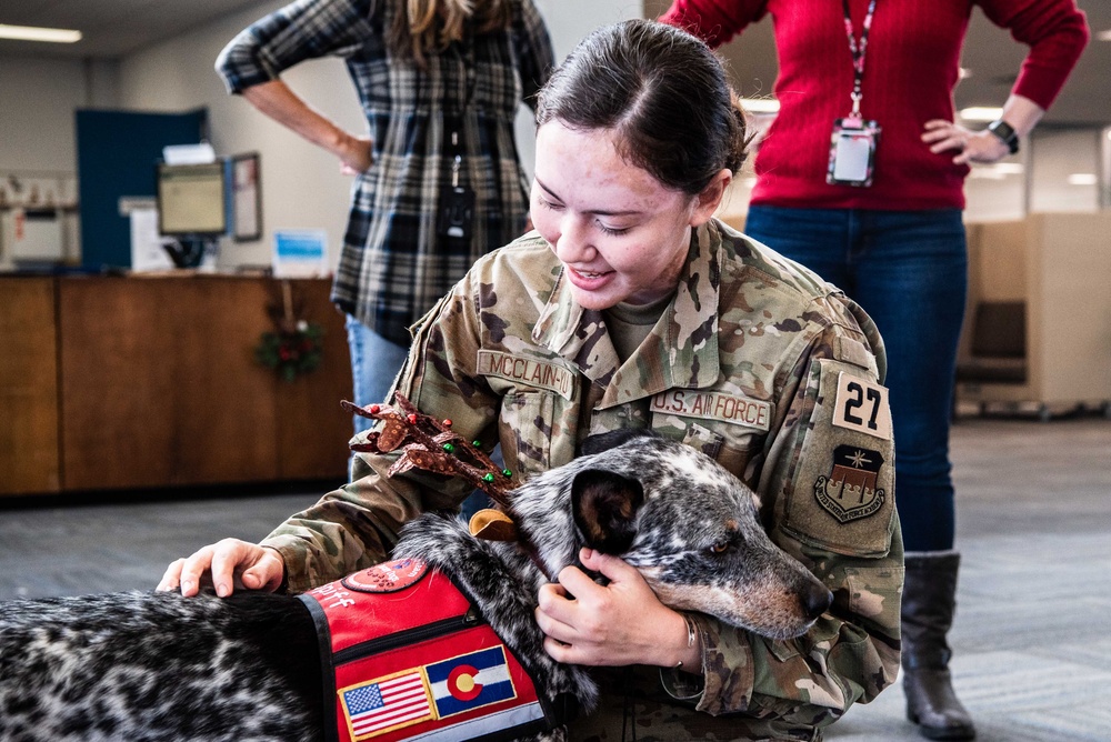 Therapy dogs bring smiles; reduce cadet stress