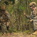 BLT 1/1 conducts TRAP exercise