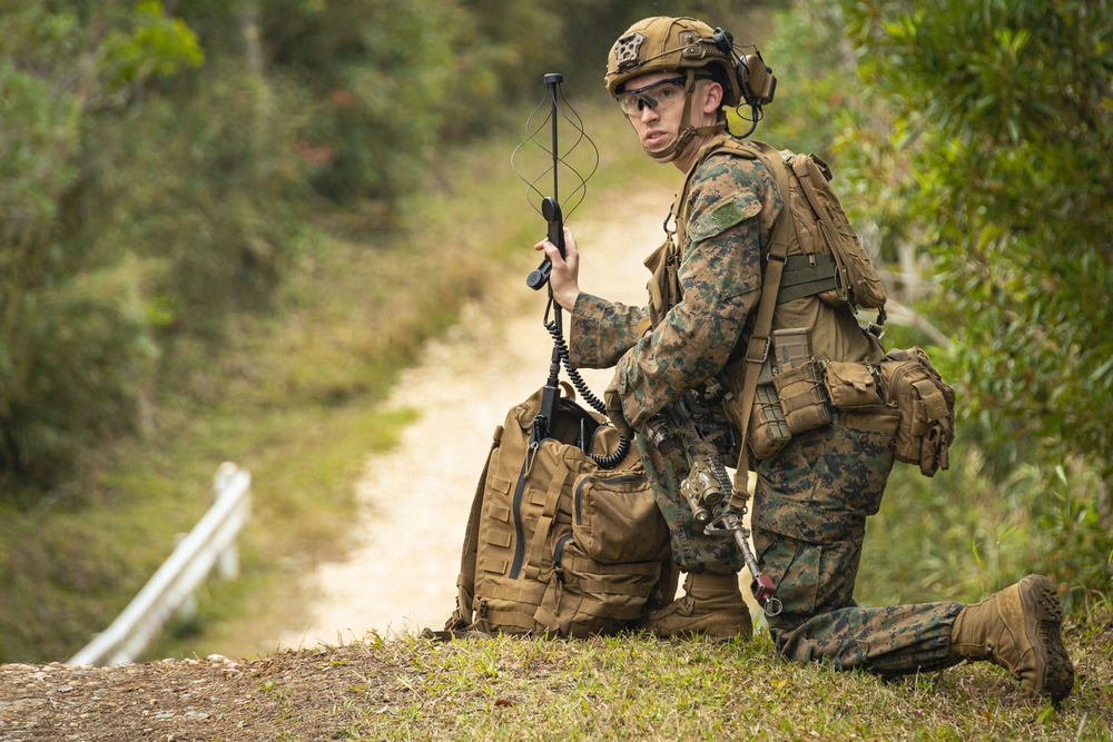 BLT 1/1 conducts TRAP exercise