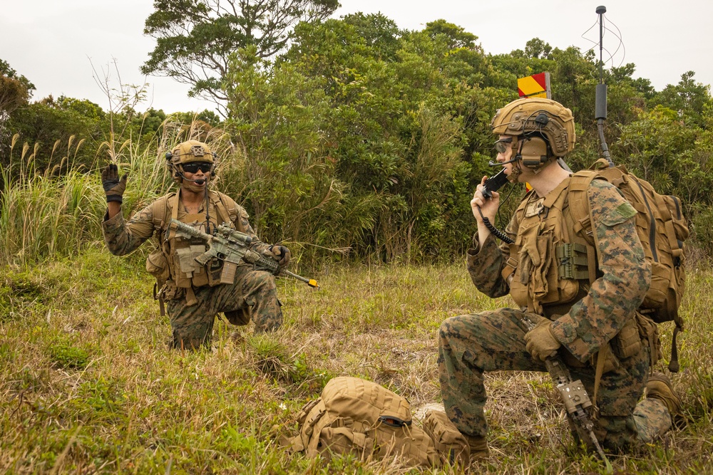 BLT 1/1 conducts TRAP exercise