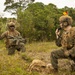 BLT 1/1 conducts TRAP exercise