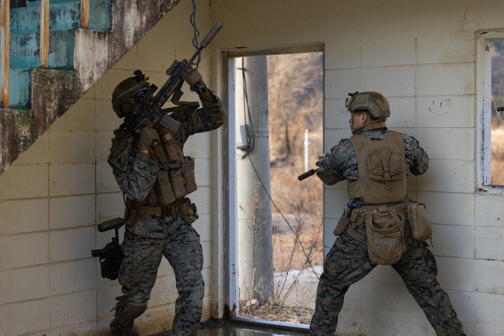 Korea Viper 24.1 | 2/7 Urban Operations Training
