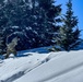 10th Mountain Division Soldiers Strengthen Avalanche Skills with Rigorous Training in Colorado’s Chalk Creek