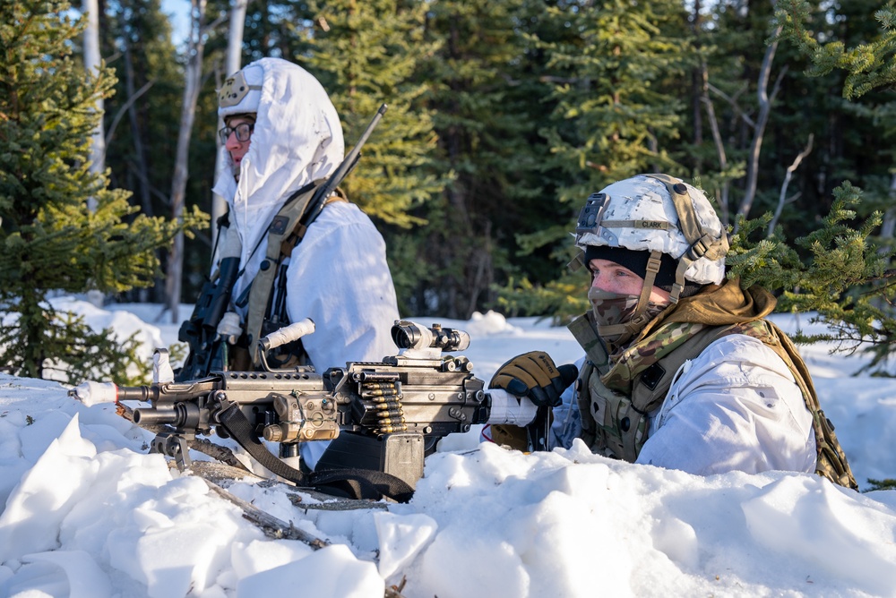 DVIDS - Images - 2-11 Airborne OPFOR stands guard against 1-11 during ...