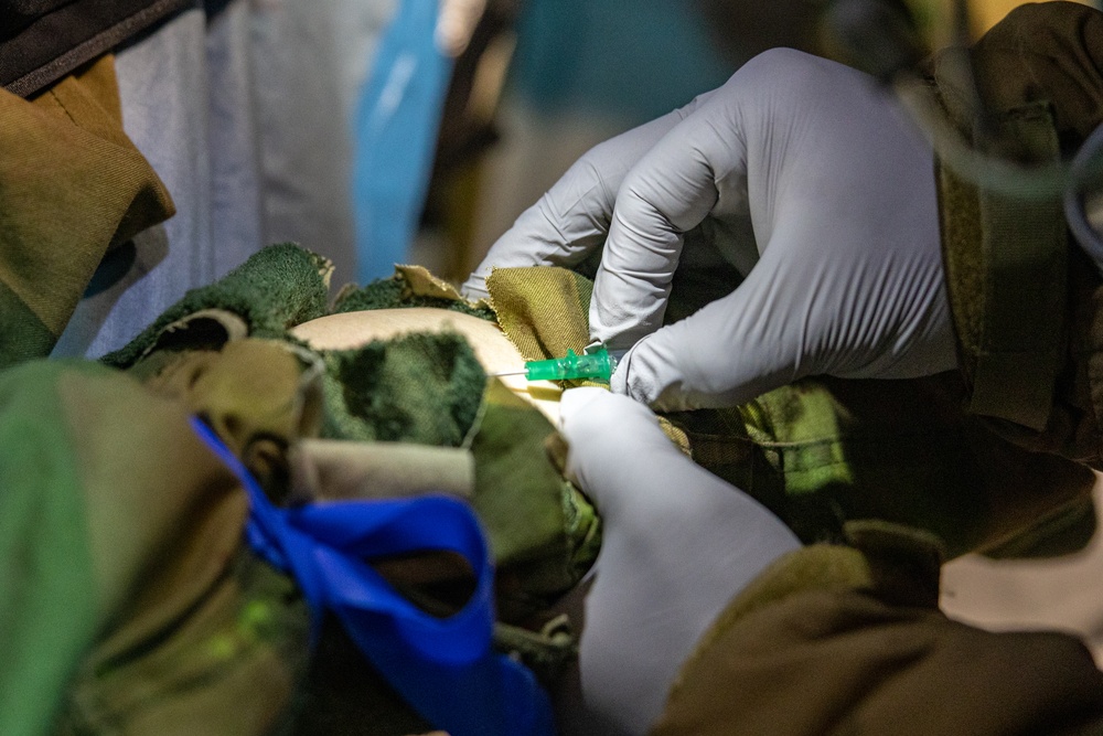 Marines and Sailors participate in exercise Medical Reindeer (Day 3)