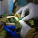 Marines and Sailors participate in exercise Medical Reindeer (Day 3)