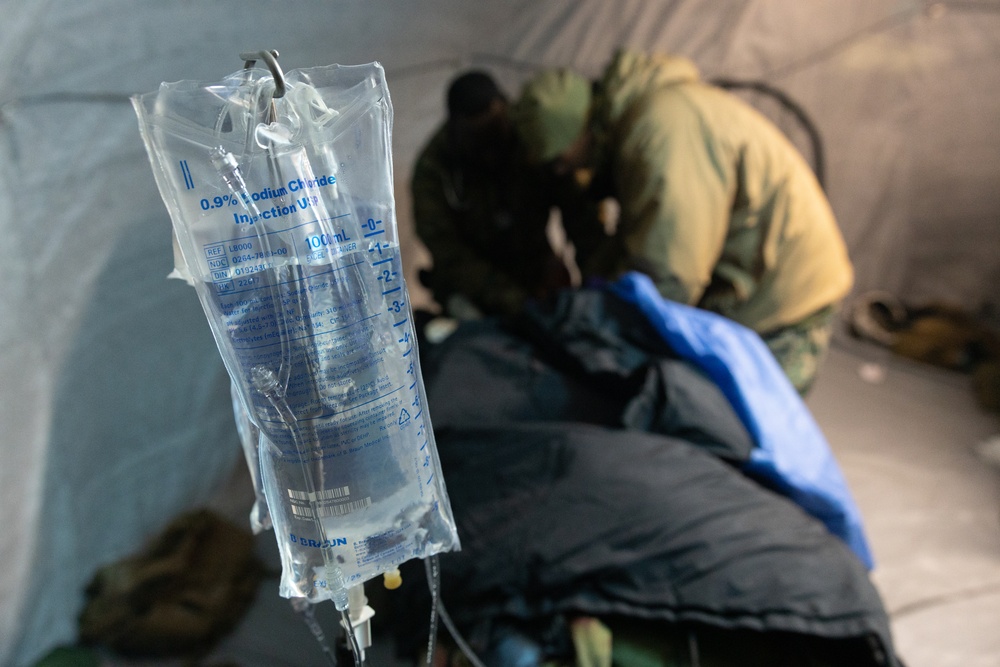Marines and Sailors participate in exercise Medical Reindeer (Day 3)