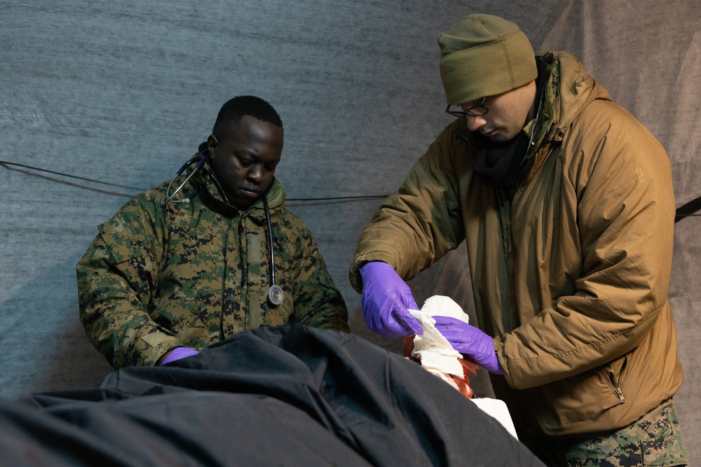 Marines and Sailors participate in exercise Medical Reindeer (Day 3)