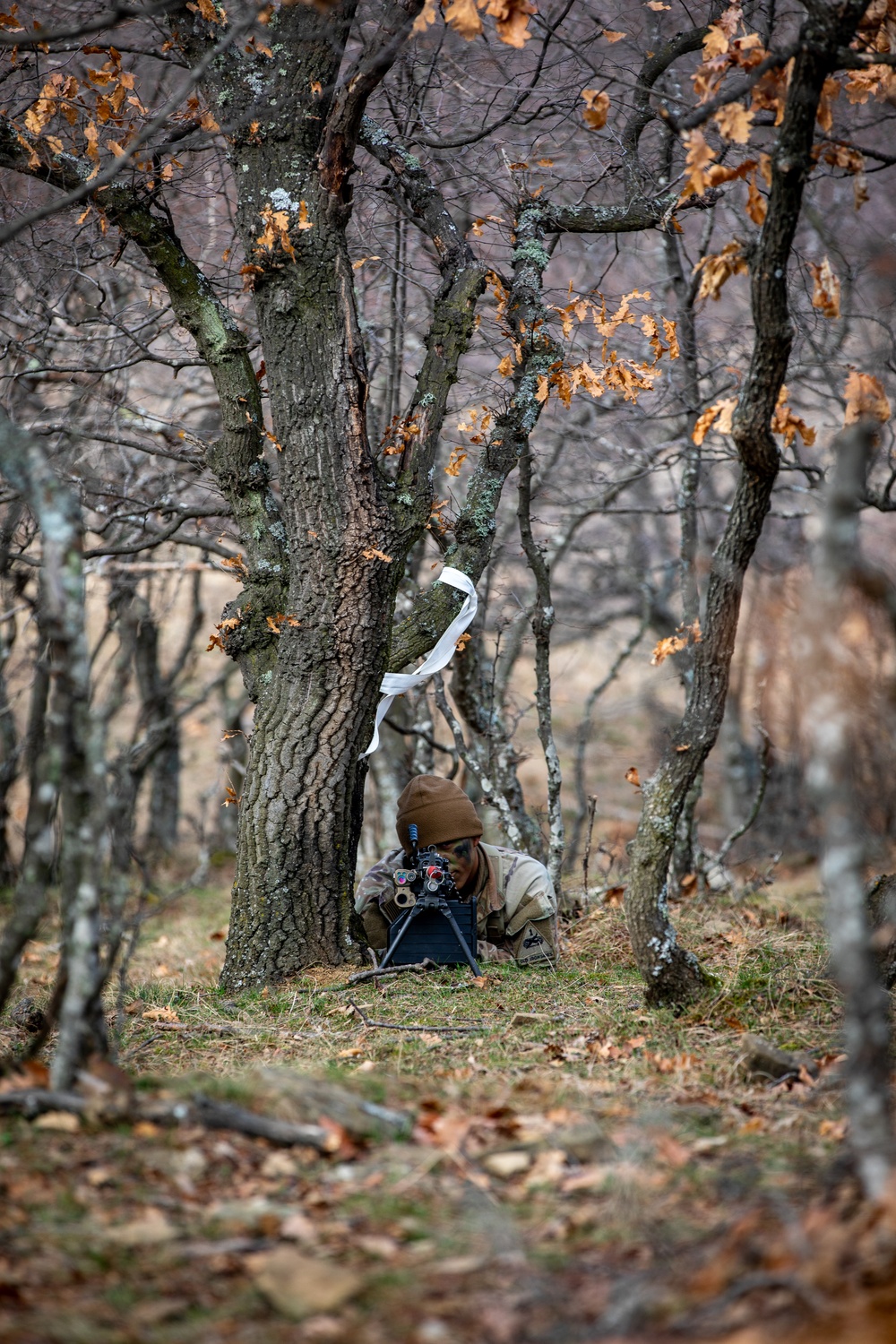 Strike Brigade Soldiers prepare for Ranger School in Bulgaria