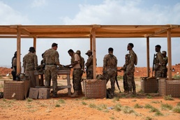 U.S. forces train alongside partner nations