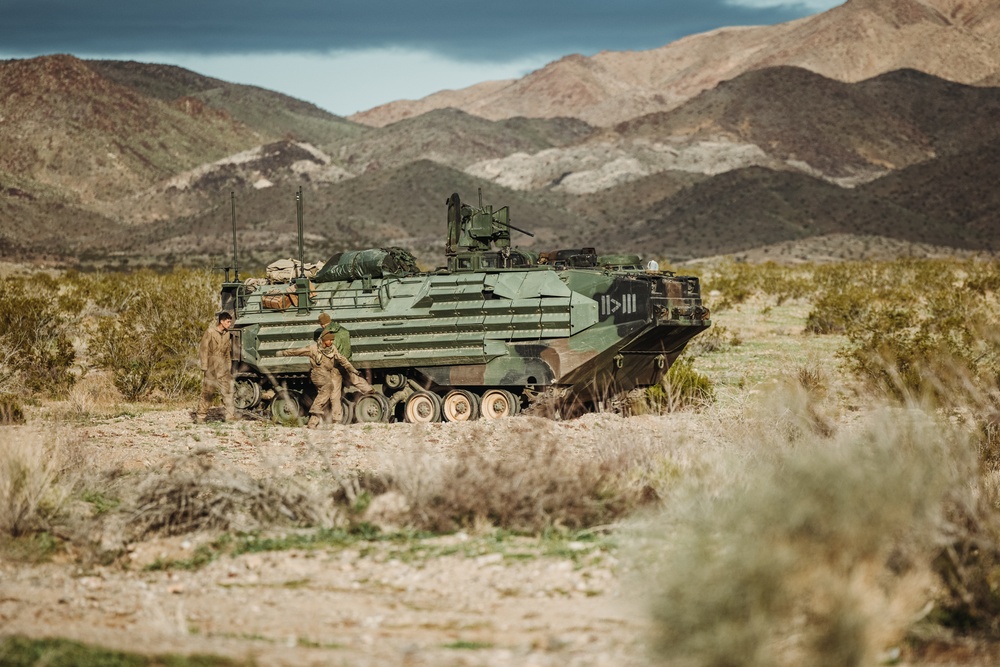 Marines with V1/4 conduct defensive operations during MDMX for SLTE 2-24