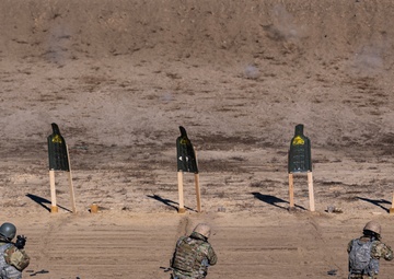 ART-OTW Weapons Training