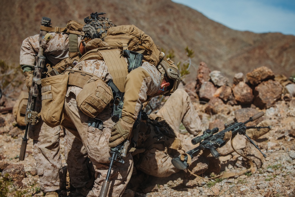 Marines with V1/4 conduct defensive operations during MDMX for SLTE 2-24