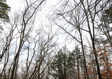 COMCAM ART-OTW 24E FTX