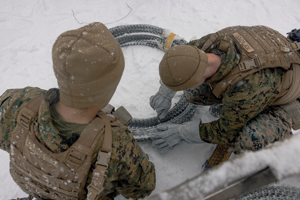 U.S. Marines with 2nd Marine Aircraft Wing set up concertina wire in preparation for Exercise Nordic Response 24