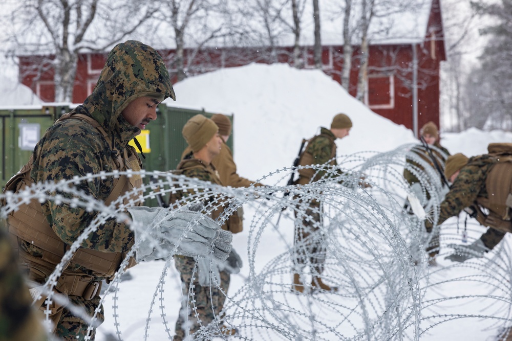 U.S. Marines with 2nd Marine Aircraft Wing set up concertina wire in preparation for Exercise Nordic Response 24