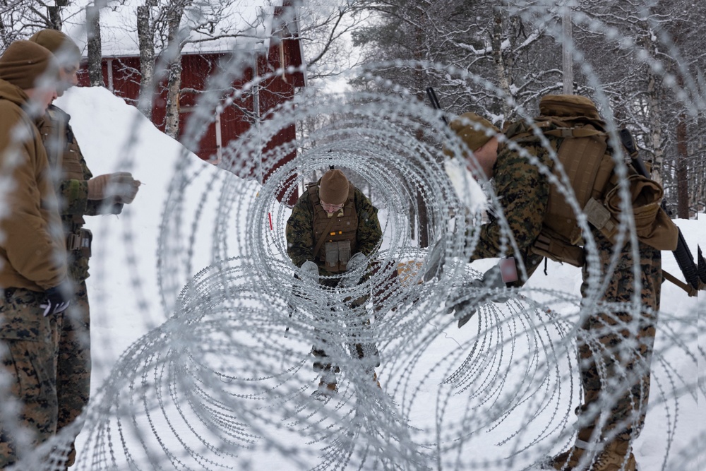 U.S. Marines with 2nd Marine Aircraft Wing set up concertina wire in preparation for Exercise Nordic Response 24