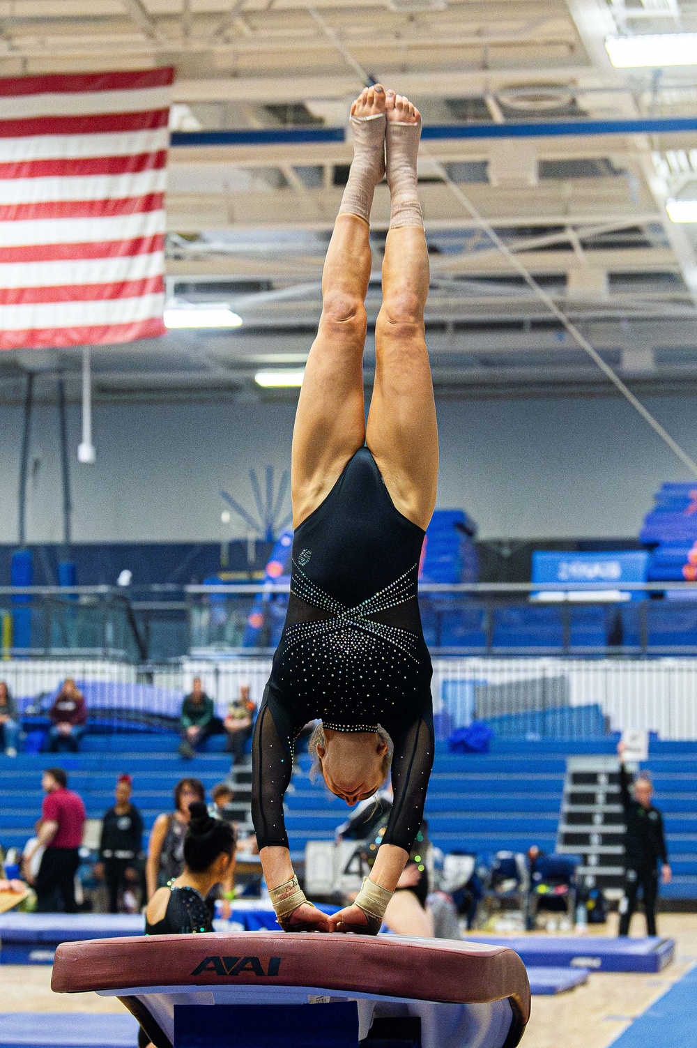 USAFA Women's Gymnastics UC Davis/Cantenary tri