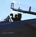 Louisiana, California ANG F-15C Eagles deliver Total Force advantage to Cope North 24
