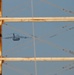 C-17 aircraft takes off in USCENTCOM AOR