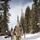 Soldiers with the 10th Mountain Division and Members of the National Ski Patrol Participate in the Hale to Vail Traverse