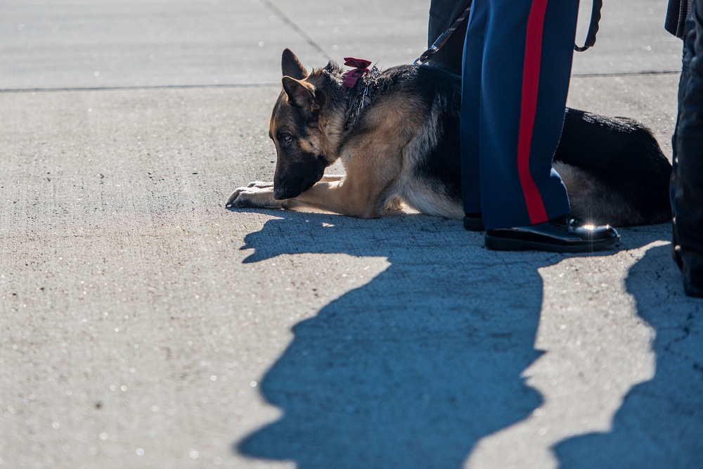 U.S. Marine Capt. Ben Moulton's honorable transfer to Idaho