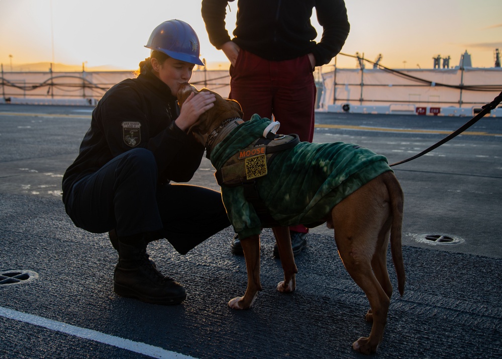 USS Essex In-Port Operations